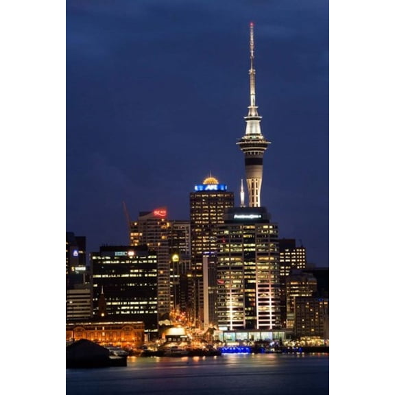 City skyline at night, Auckland CBD, North Island, New Zealand Poster Print by David Wall (24 x 35)