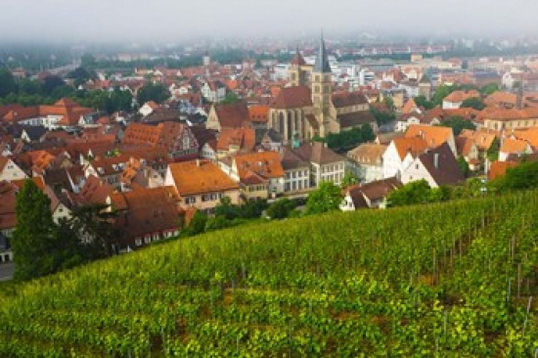 City viewed from vineyard Esslingen-Am-Neckar Baden-Wurttemberg Germany Canvas Art - Panoramic Images (36 x 24)