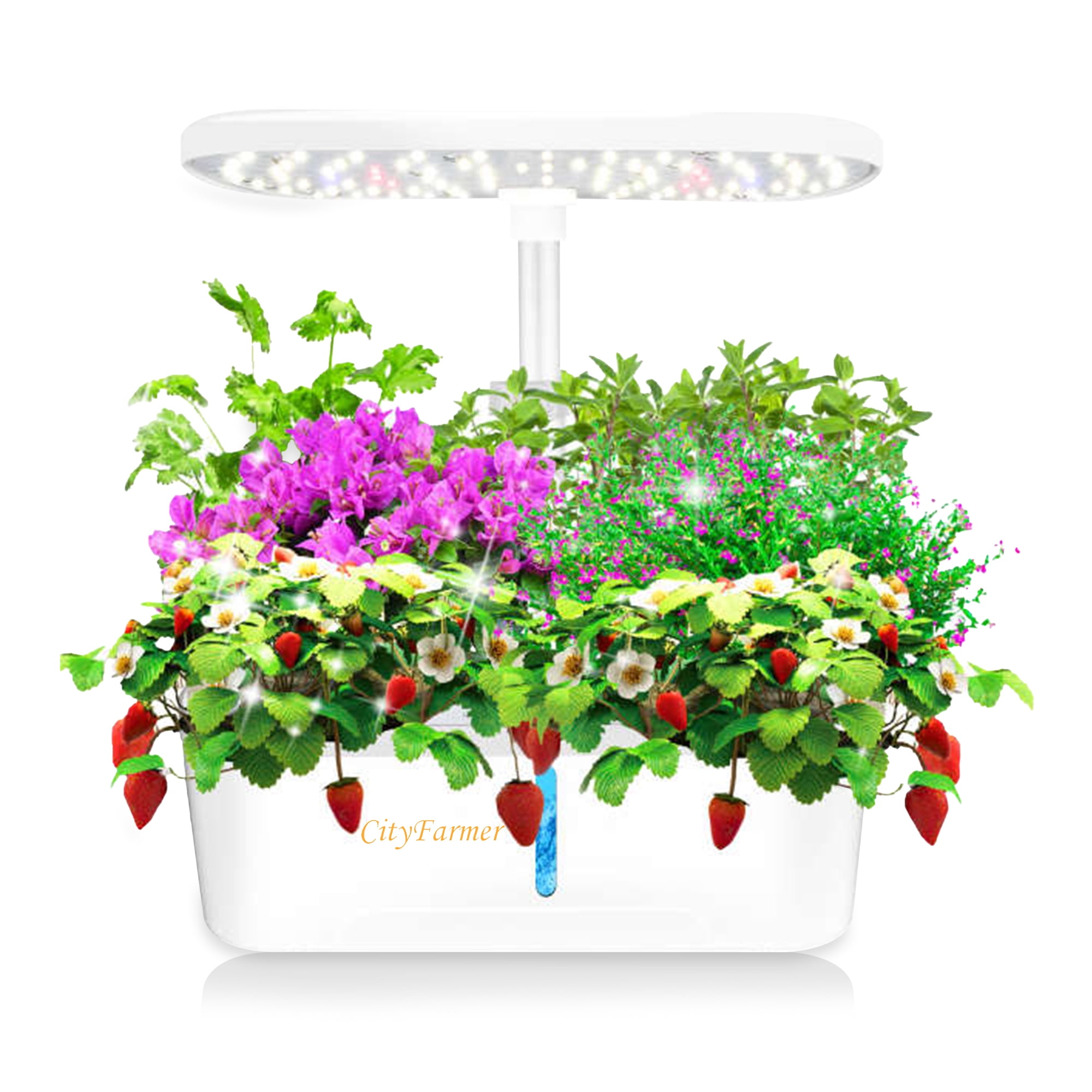 City Farmer Indoor Desktop Hydroponic Growing System, 7 in, 30 W LED, Smart, Indoor, Grow Lights, 4200 K, 12 Count