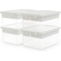  Citylife 17 QT Plastic Storage Box with Removable Tray