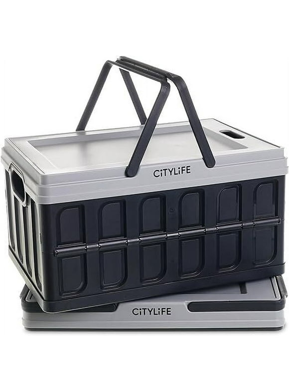 Citylife Collapsible Storage Bins with Lid & Handle Plastic 32L (8.4 Gal) 2 Packs Black