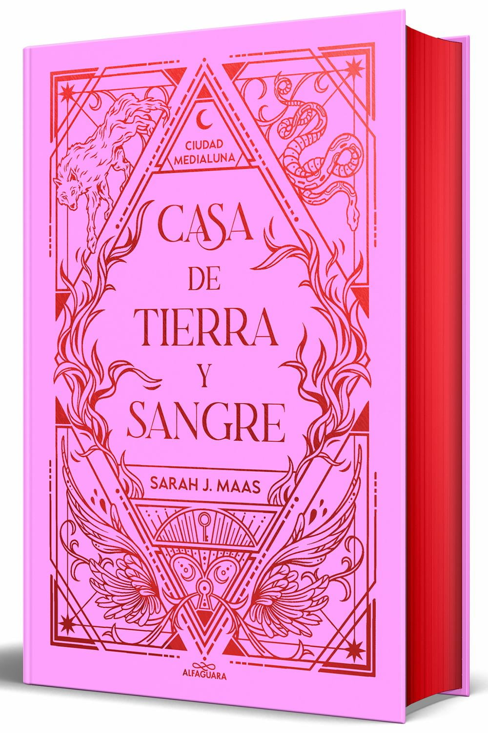 Casa de Tierra y Sangre (Edicin Cantos Pintados) / House of Earth and Blood (Sprayed Edges Edition) (Special edition) (Hardcover)