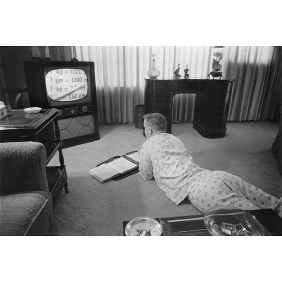 Civil Rights History (24 x 18)