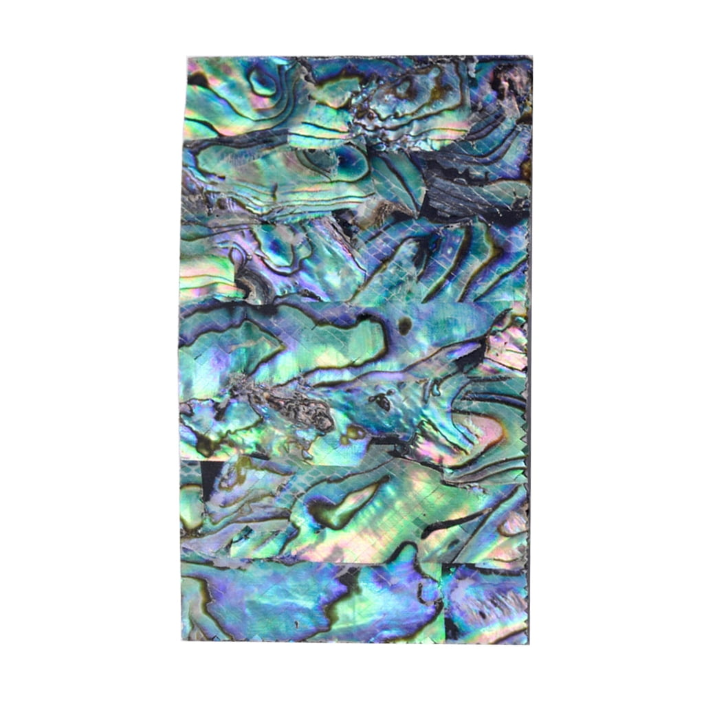 Ciwanning Aesthetic Sticker with Abalones Shells Pattern for Scrapbooks ...