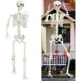 thumbnail image 1 of Cixusio 7.9ft/240cm Halloween Giant Skeleton Poseable Large Full Body Skeleton with Movable Joints for Indoor Outdoor Halloween Decor, 1 of 16