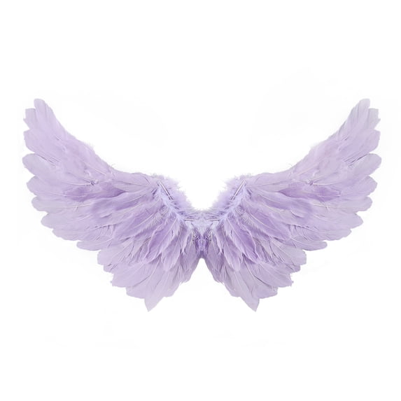 Cjfdfy Feather Wings, Fairy Wings, Stage Show Adult Halloween Costume Angel Wings with Crown and Wand Princess Party Cosplay