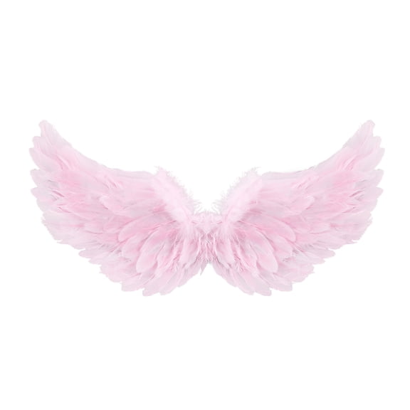 Cjfdfy Feather Wings, Fairy Wings, Stage Show Adult Halloween Costume Angel Wings with Crown and Wand Princess Party Cosplay