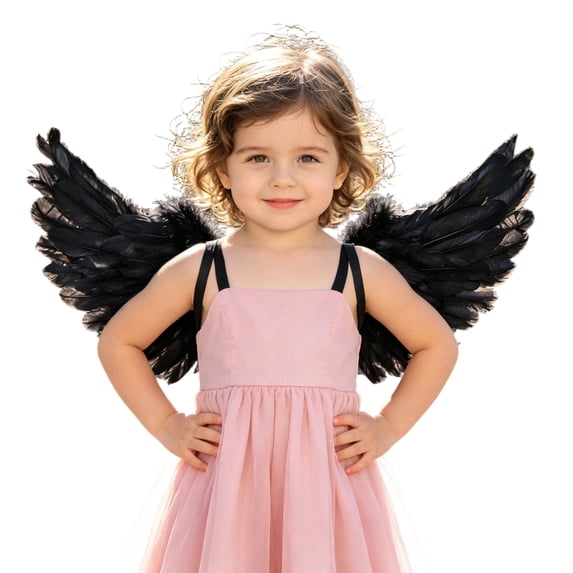 Cjfdfy Feather Wings, Fairy Wings, Stage Show Adult Halloween Costume Angel Wings with Crown and Wand Princess Party Cosplay