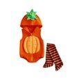 thumbnail image 1 of Cjfdfy Newborn Baby Boy Girls Halloween Costume Outfit Pumpkin Bat Cat Hooded Sleeveless Zipper Romper With Stripe Socks Infant Cute Animal Warm Hooded Sleeveless Jumpsuit 0-2Y, 1 of 9