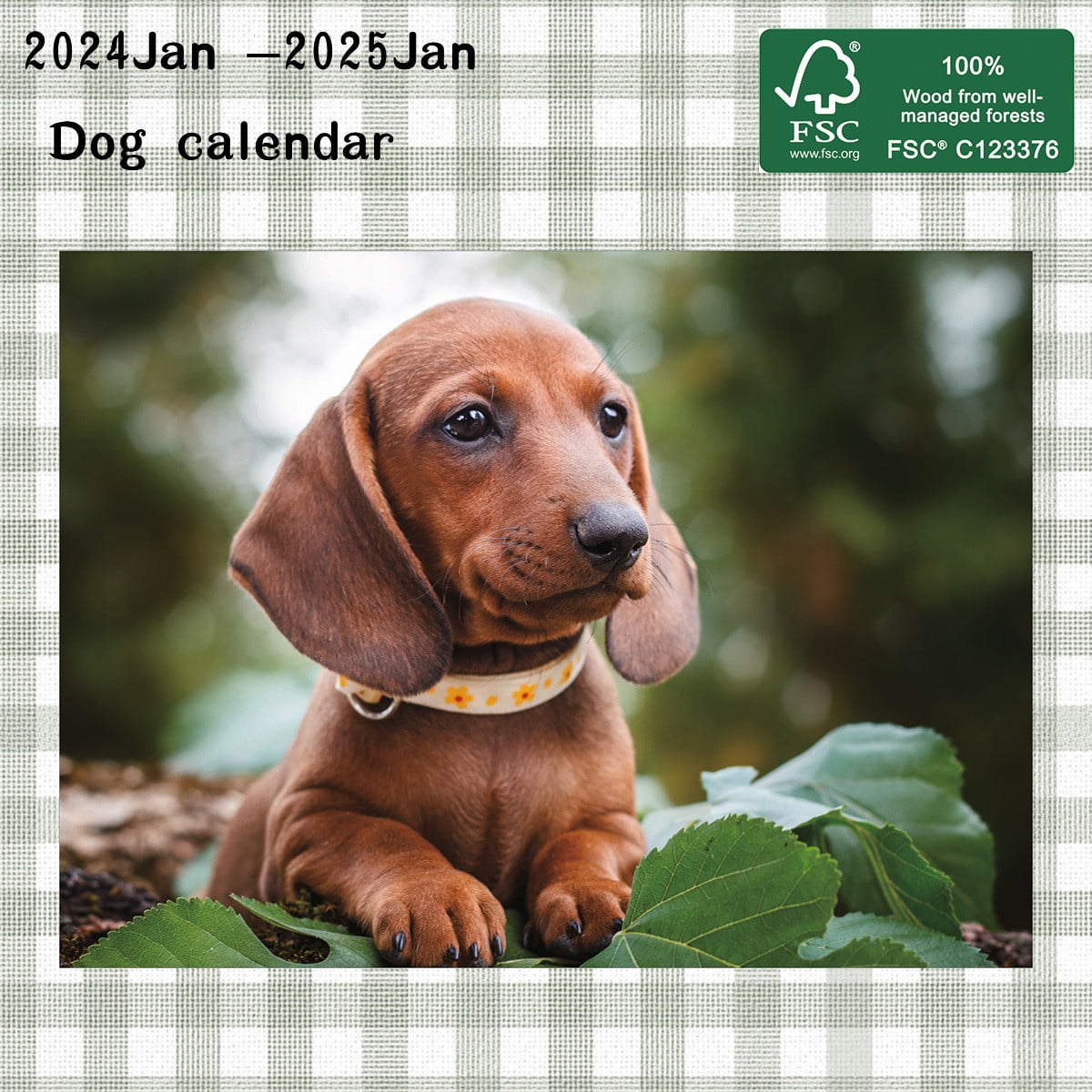 Ckraxd 20242025 Cute Animal Themed Calendar with Memo Pages and Extra