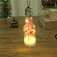 Ckraxd Christmas Decor Hanging Bottle Light with Multicolor, LED