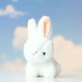 thumbnail image 1 of Ckraxd Cute Bunny Plush Keychain Pendant - Stuffed Animal Backpack Charm - Soft Washable Plushie Decor - Adorable Gift for Birthdays, Parties, and Decorations, 1 of 2