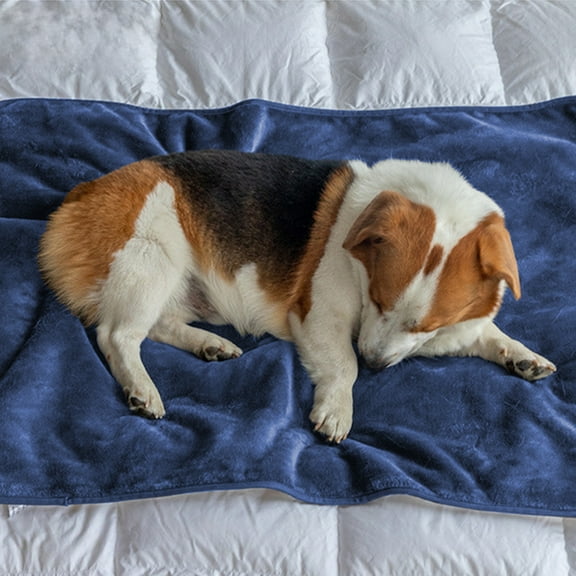 Ckraxd Large Lambswool Pet Blanket | Watertight Dog Mat | Soft Flannel Kennel Cover | Waterproof Puppy Bedspread | 40x30in for Cats & Dogs