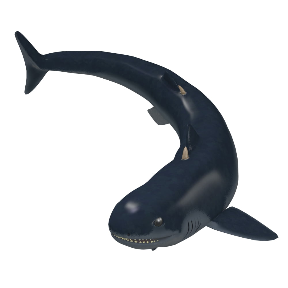 Cladoselache shark of the Paleozoic Era Canvas Art - Corey FordStocktrek Images (28 x 28)