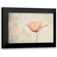 thumbnail image 1 of Claes, Gilbert 18x13 Black Modern Framed Museum Art Print Titled - Jewel Of Nature, 1 of 5