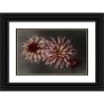 thumbnail image 1 of Claes, Gilbert 18x13 Black Ornate Wood Framed with Double Matting Museum Art Print Titled - Dahlia Family, 1 of 4