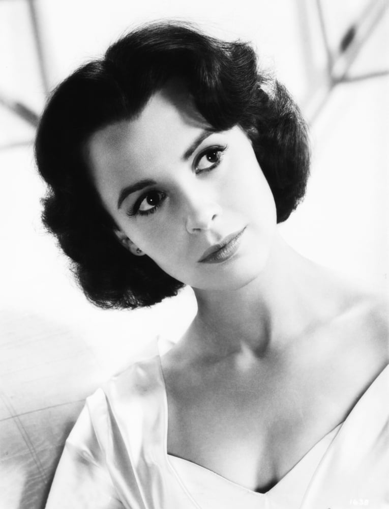 Claire Bloom Canvas Art - (16 x 20)