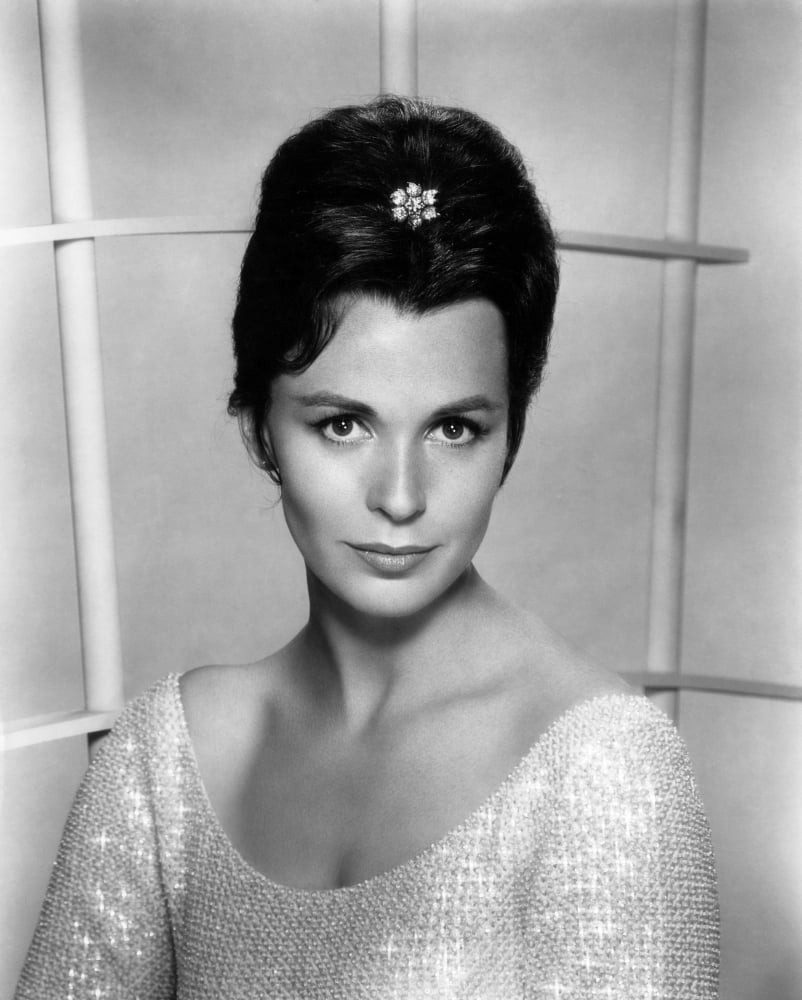 Claire Bloom Canvas Art - (16 x 20)
