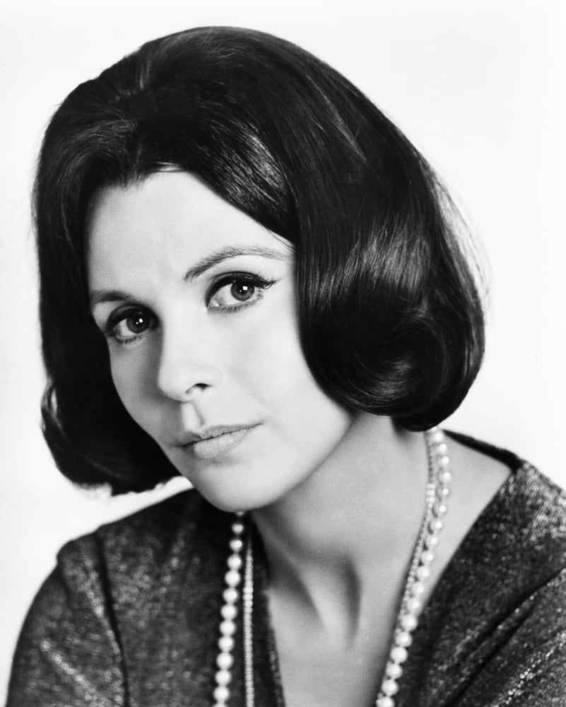 Claire Bloom Canvas Art - (16 x 20)