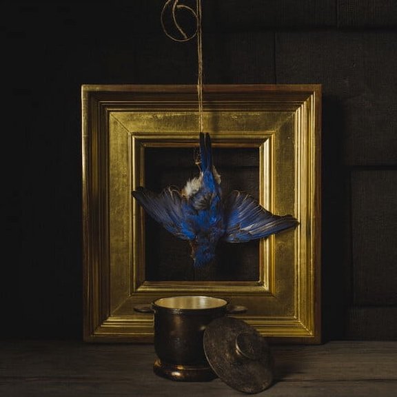 Claire Dickson - Dickson: The Beholder - Music & Performance - Vinyl
