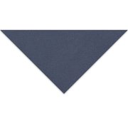 Clairefontaine Pastelmat Sheet - 27-1/2" x 39-1/2", Dark Blue, 1 Sheet