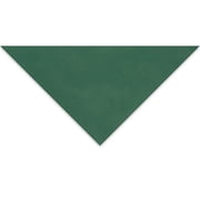 Clairefontaine Pastelmat Sheet - 27-1/2 x 39-1/2, Dark Green, 1 Sheet