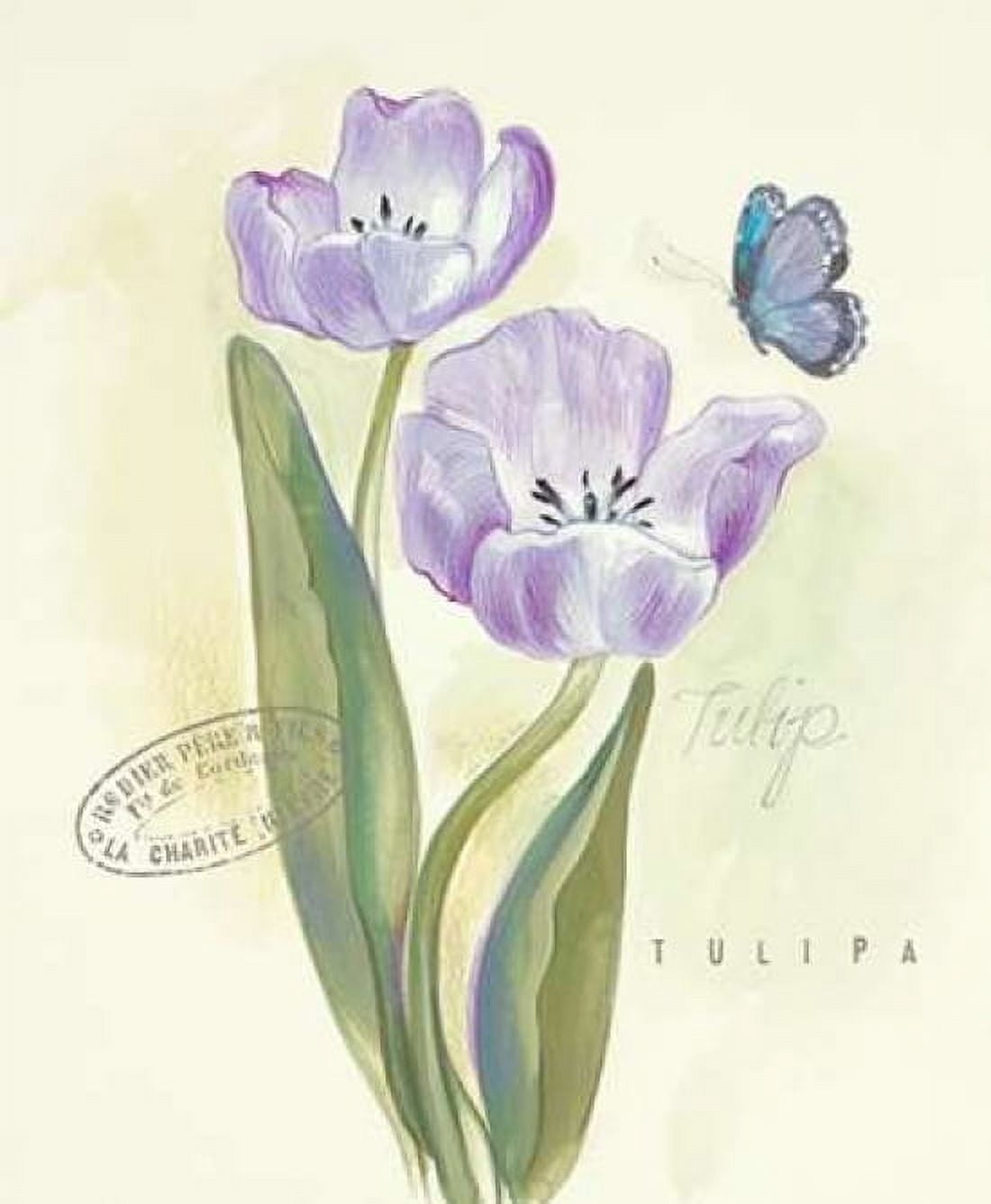 Claires Garden Tulip Canvas Art - Elissa Della-Piana (20 x 24)