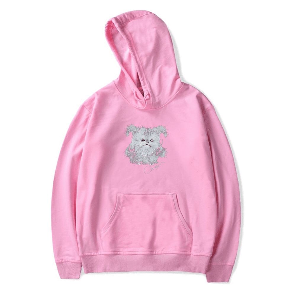Clairo Charm Wizard Hoodies New Logo Merch Cosplay Women Men Clairo Charm Wizard Hoodies New Logo Merch Cosplay Women Men