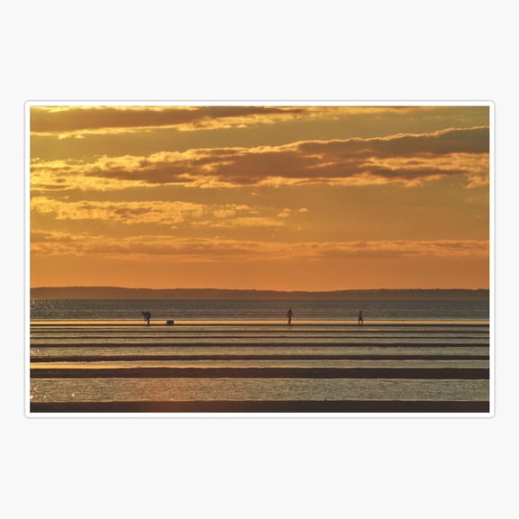 Clam Diggers at Low Tide Sticker