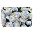 thumbnail image 1 of Clam Quahog Dish Drying Mat, 1 of 2