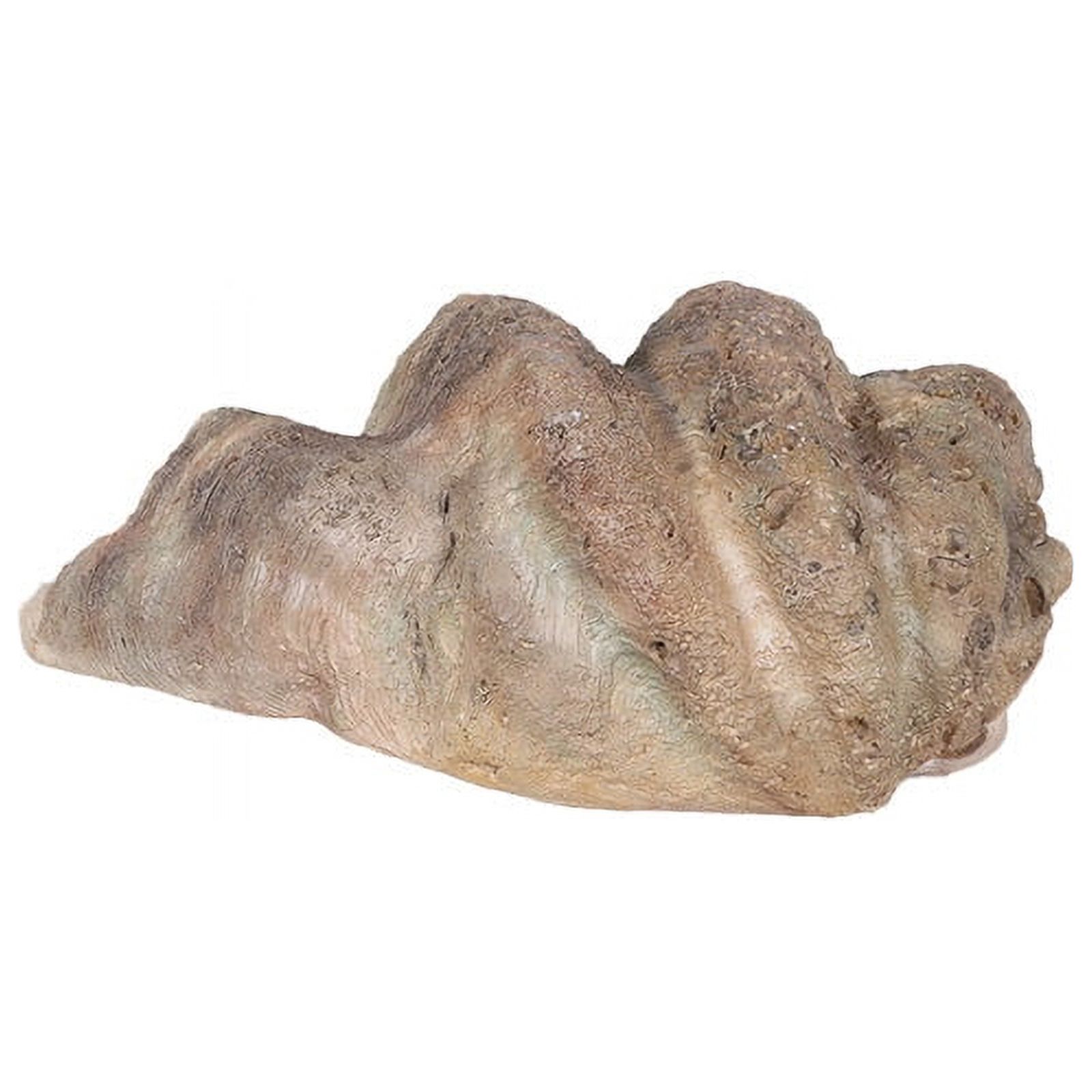 Clam Sea Shell Life Size Statue - Walmart.com
