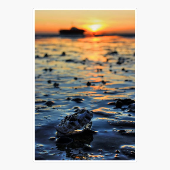 Clam Sunset Sticker