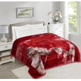 thumbnail image 1 of Virtu 9 Lbs Plush Fleece Blanket, 2 Ply Thick Heavy Reversible Raschel Korean Style Warm Bed Blanket, Queen, Red Rose, 1 of 5