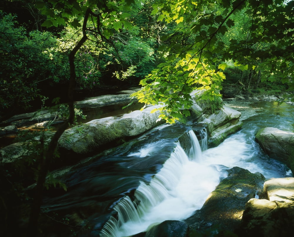 Clare Glens Co Clare Ireland Canvas Art - The Irish Image Collection Design Pics (17 x 13)