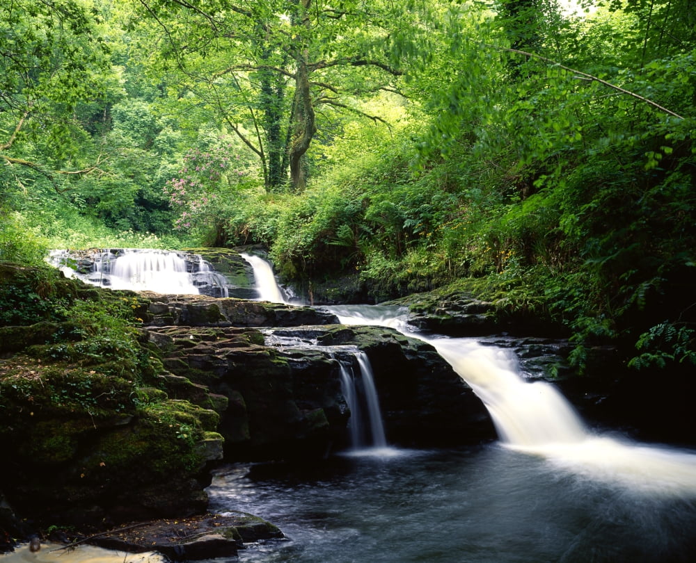 Clare Glens Co Limerick Ireland Irish Landscape Canvas Art - The Irish Image Collection Design Pics (34 x 26)