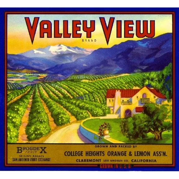 Claremont Los Angeles County Valley View Orange Citrus Fruit Office Poster , Poster Print Only