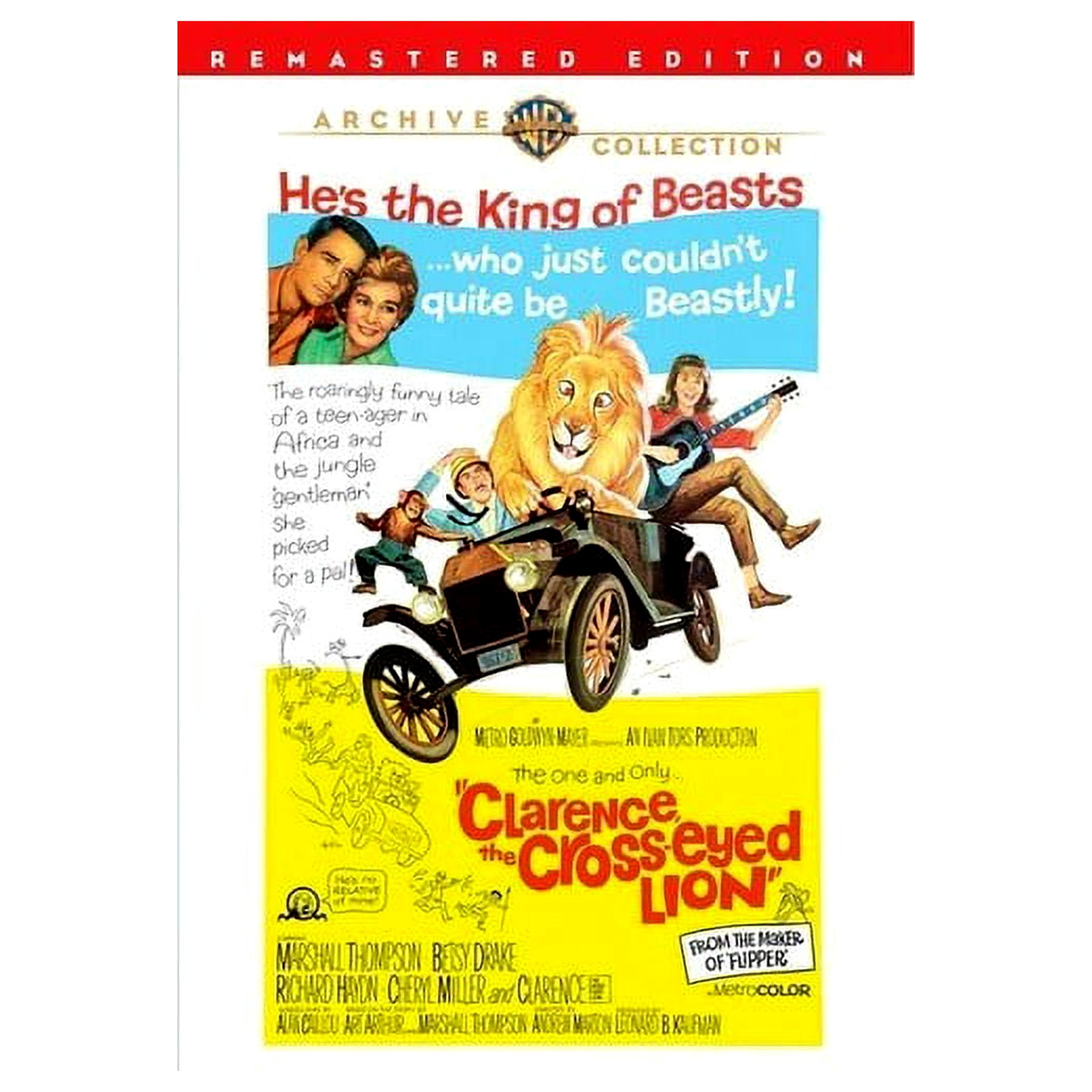 Clarence, The Cross-Eyed Lion - Walmart.com