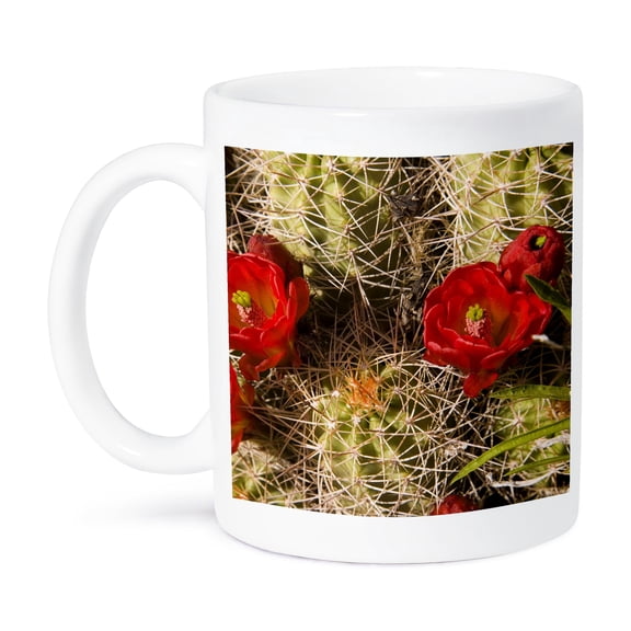 Claret Cup Cactus, Utah - Us45 Kpi0003 - Kristin Piljay, 11oz Mug