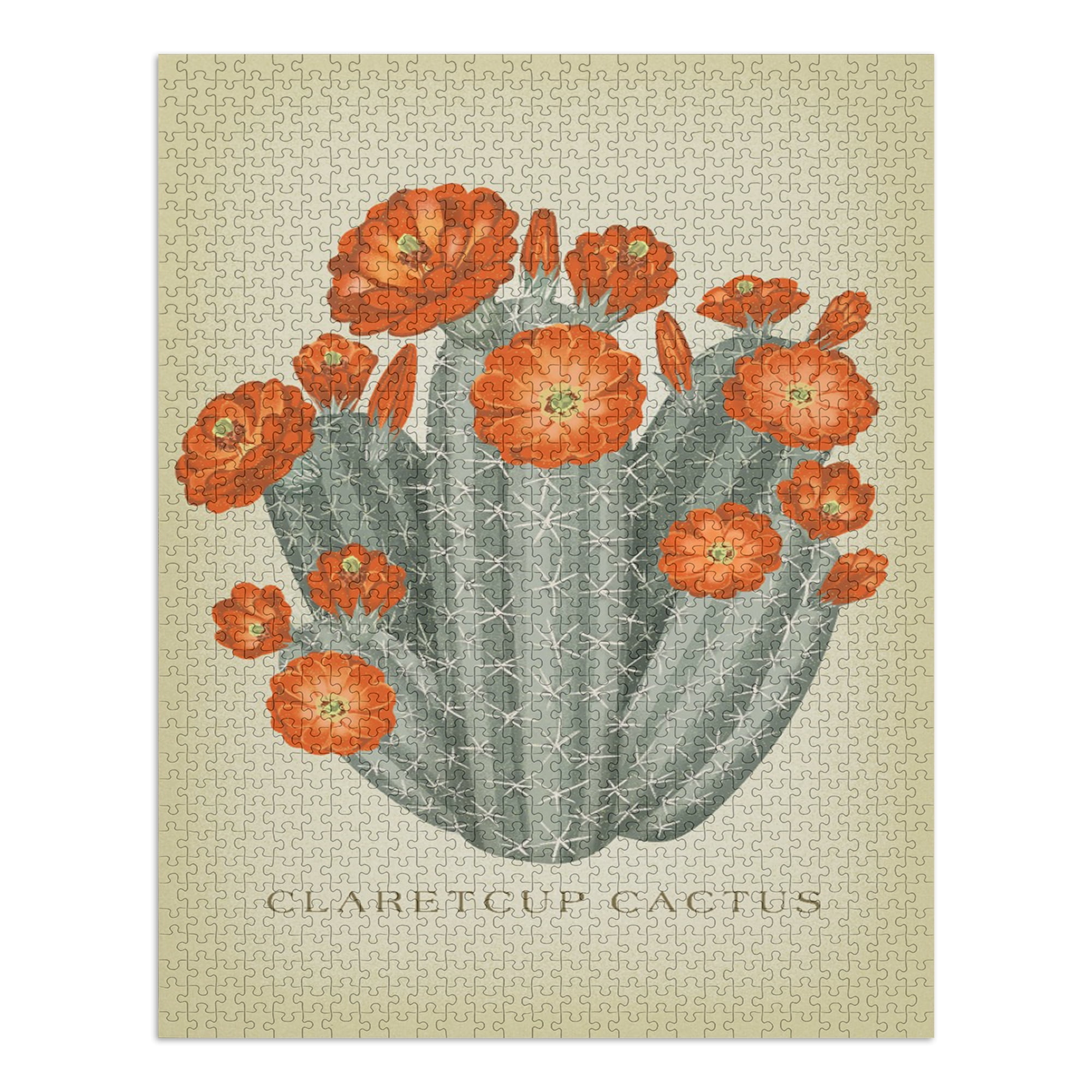 Claretcup Cactus, Vintage Flora (1000 Piece Puzzle, Size 19x27, Challenging Jigsaw  Puzzle for Adults and Family, Made in USA) - Walmart.com