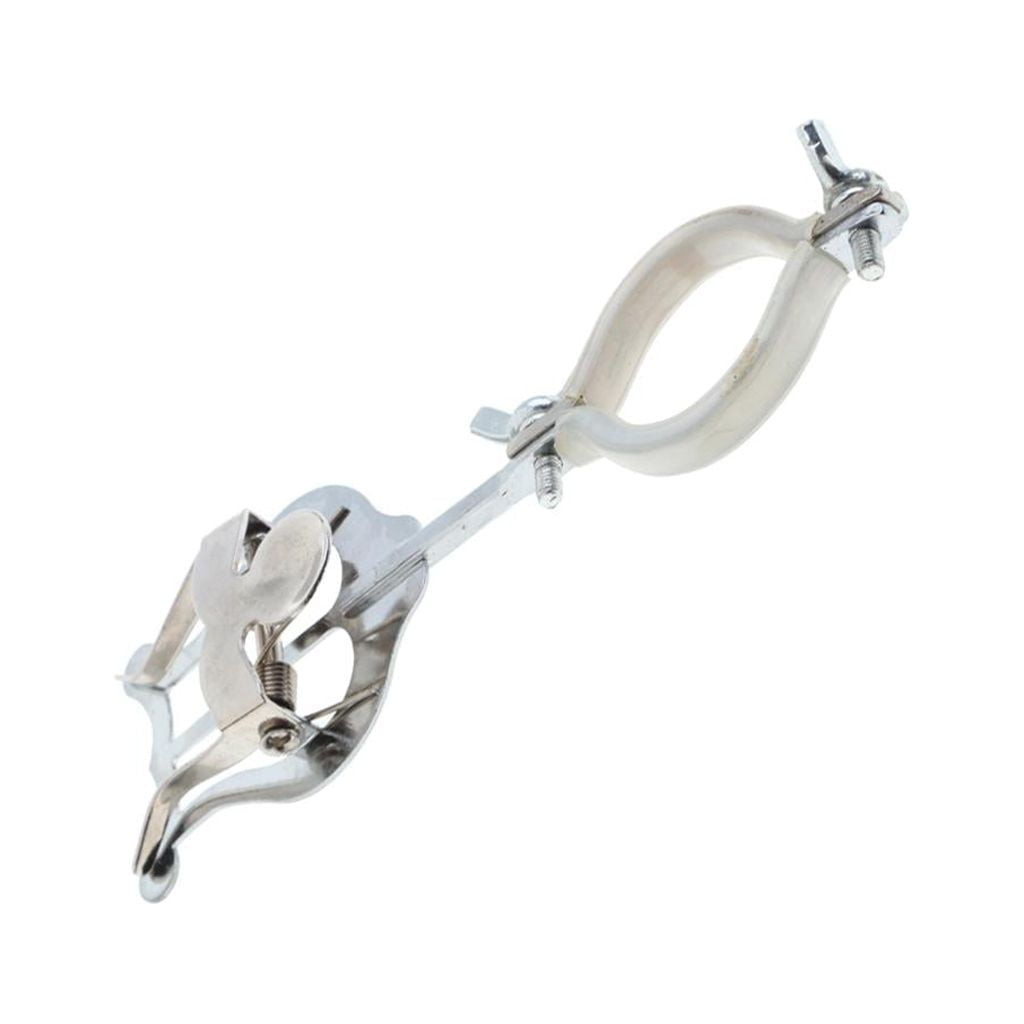 Lyre Sheet Music Clip Holder Holder Lyre For Plating