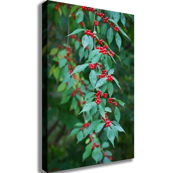 Clark Berries Canvas Print