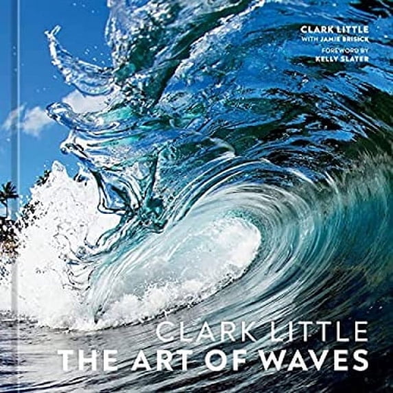 Pre-Owned Clark Little: The Art of Waves (Hardcover) 1984859781 9781984859785