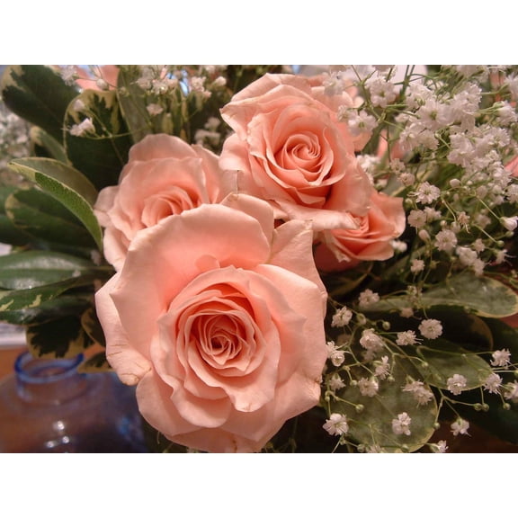 Clark Rose II Glossy Poster