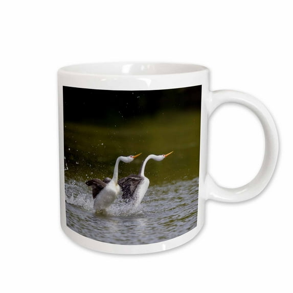 3drose, Clarks Grebe Pair, Courtship Display, 11oz Mug