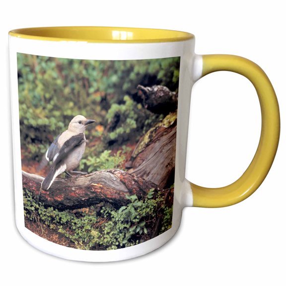 3drose, Clarks Nutcrackers Bird in Banff Np, Alberta-cn01 Rer0053 - Ric Ergenbright, 11oz Two-tone Yellow Mug