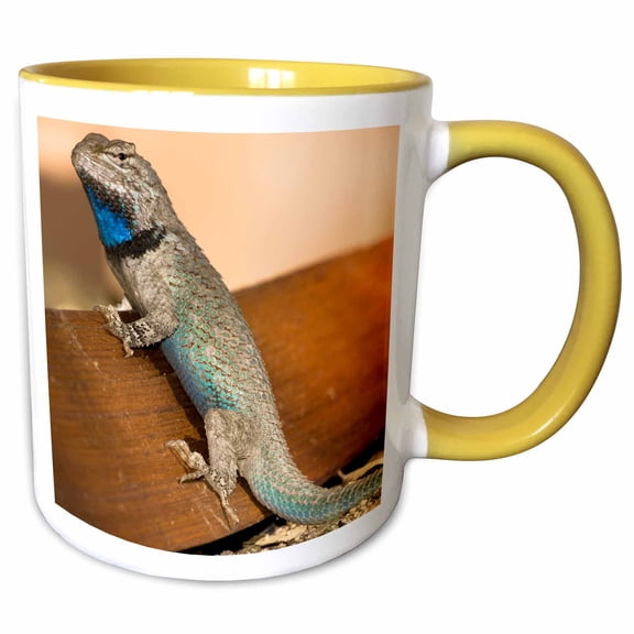 3drose, Clarks Spiny Lizard, Sw Arizona - Us03 Jmc0002 - Joe and Mary Ann Mcdonald, 11oz Two-tone Yellow Mug