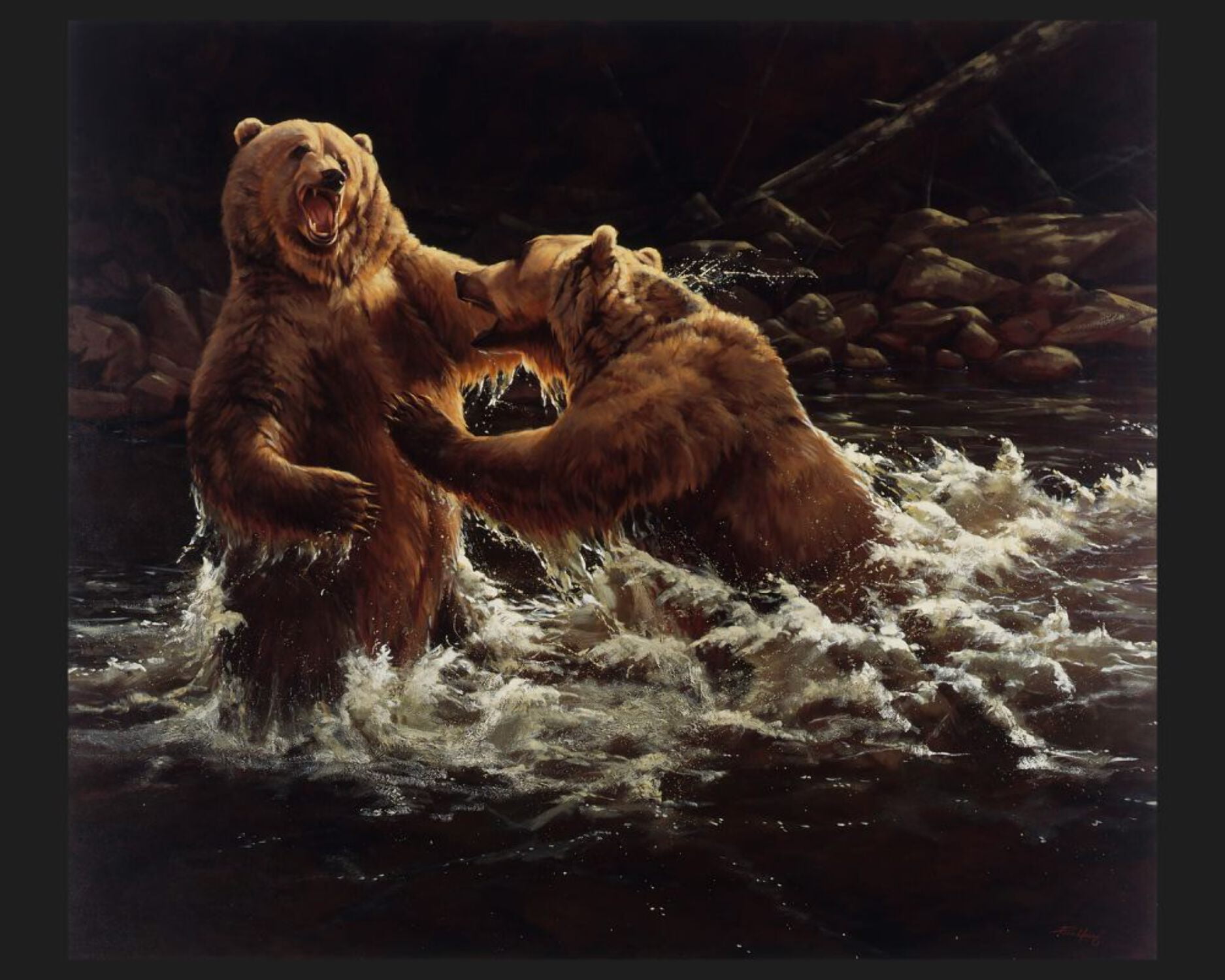 Clash Bears Panel Cotton Fabric