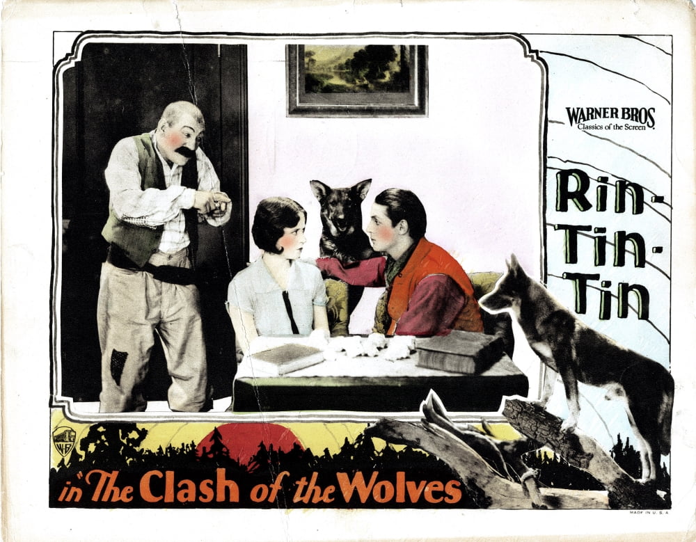 Clash Of The Wolves Canvas Art - (28 x 22)
