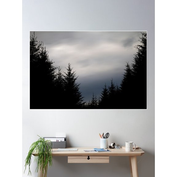 Clashindarroch Forest Poster Wall Art, Modern Wall Decor For Living Room Bedroom, 16x24 UNFRAMED