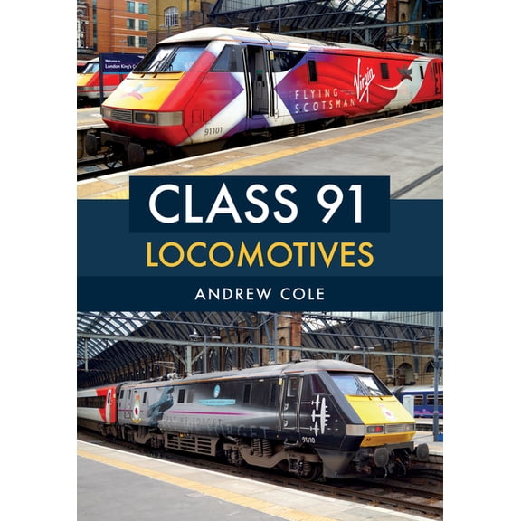 Class 91 Locomotives (Paperback)